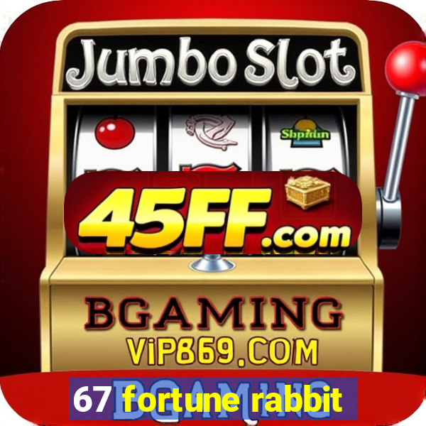 67 fortune rabbit
